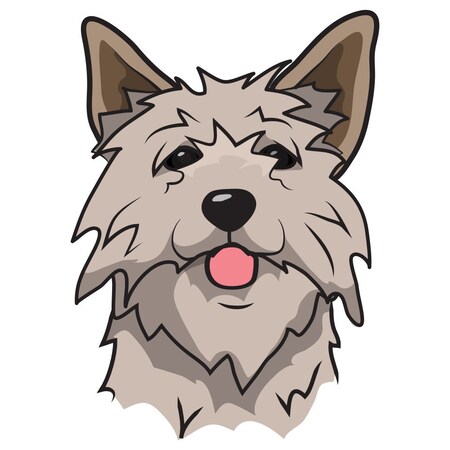 Signmission Norwich Terrier Dog Decal, Dog Lover Decor Vinyl Sticker D-12-Norwich Terrier